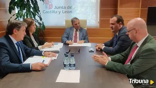 Luz verde a la instalación de una pasarela peatonal sobre la carretera de Alba a la altura de Valdelagua