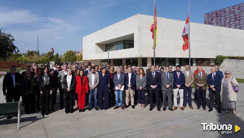 Las Cortes de Castilla y León, "a disposición" de las administraciones ante la catástrofe de la DANA