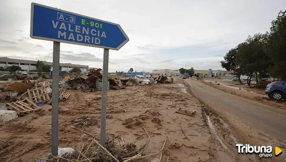 Una frutería salmantina recoge todo tipo de suministros para preparar un envío a Valencia 