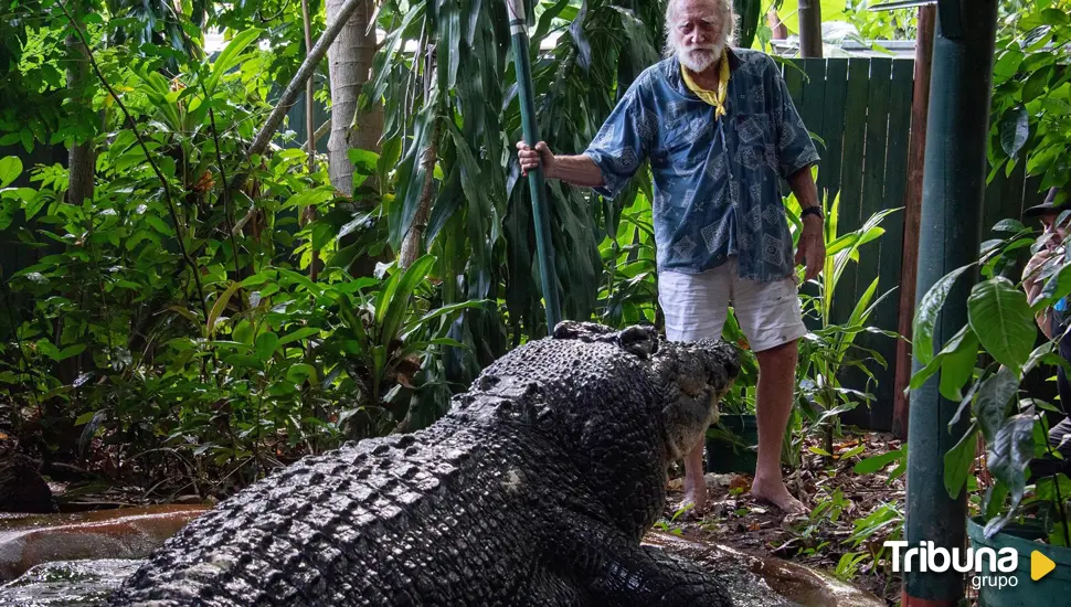 El cocodrilo más grande del mundo fallece en un centro de animales en Australia