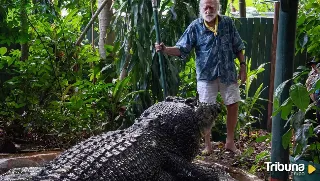 El cocodrilo más grande del mundo fallece en un centro de animales en Australia