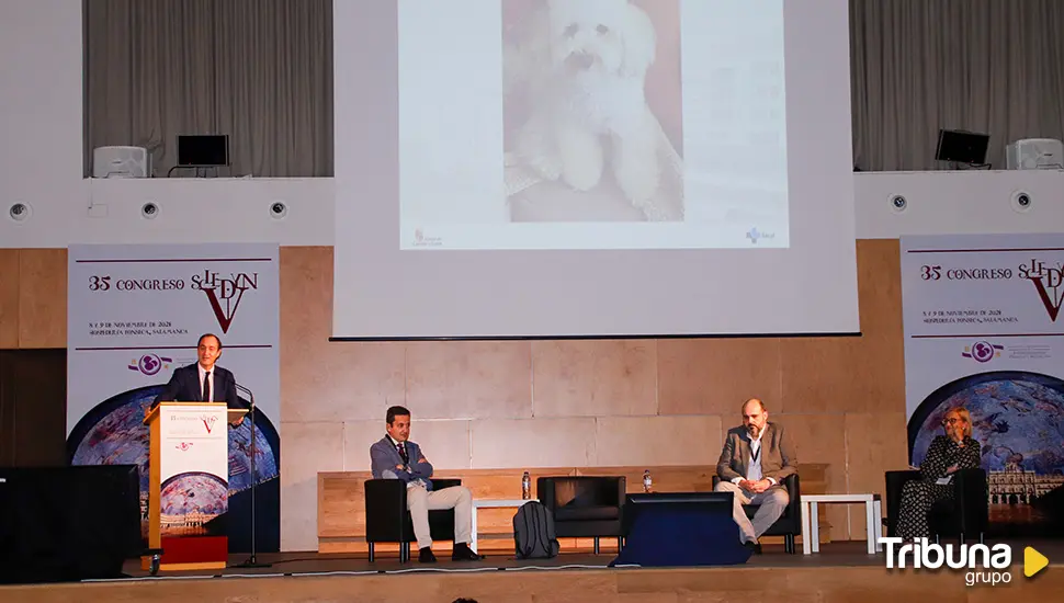 Los nuevos fármacos contra la obesidad y el papel de la IA, centran la jornada de clausura del Sceldyn