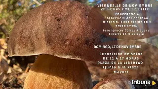 La Plaza de la Libertad se prepara para ser epicentro de la micología con una exposición abierta al público