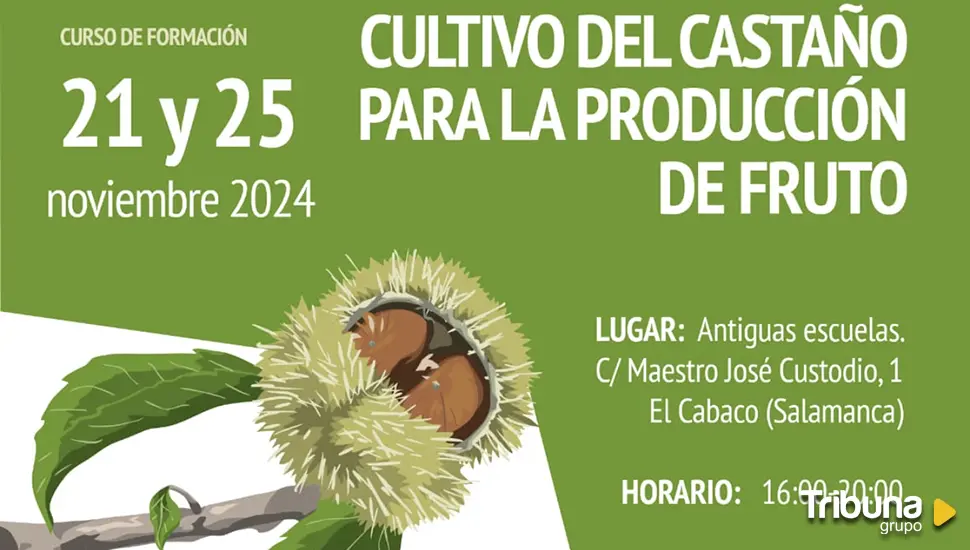 Abierta la inscripción para el curso de formación en El Cabaco sobre el cultivo de castaño