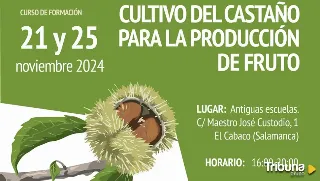 Abierta la inscripción para el curso de formación en El Cabaco sobre el cultivo de castaño