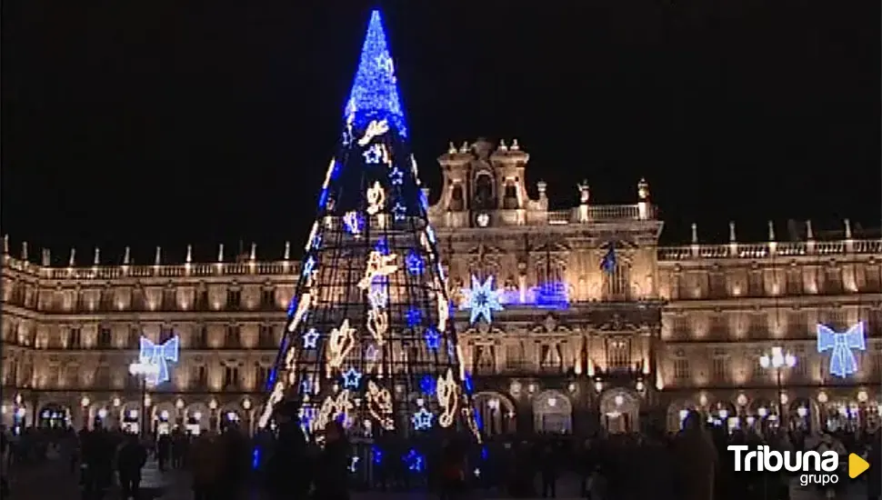 Un árbol "enorme" para decorar la Plaza Mayor de Salamanca durante las Navidades