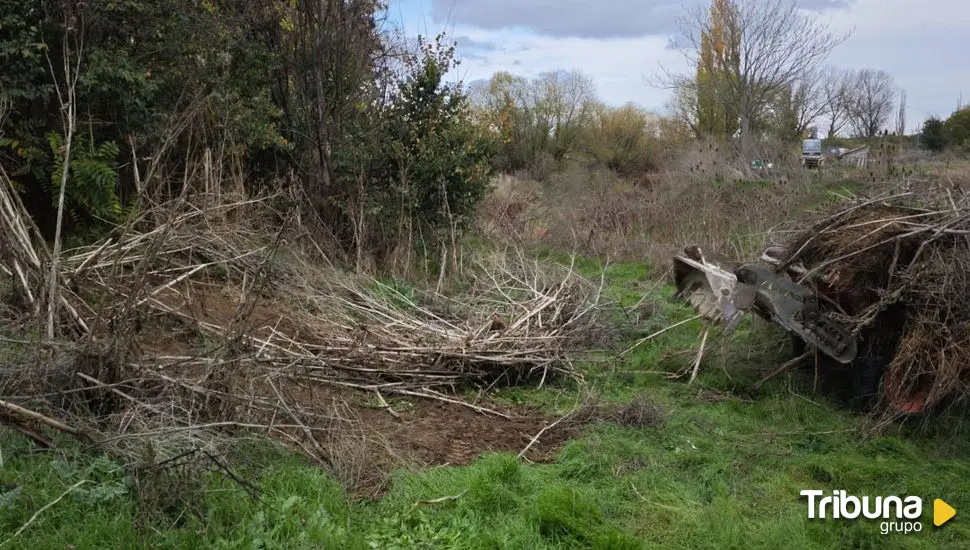 Aldeatejada acomete labores de limpieza en la zona de Las Fuentes y el entorno del regato del Zurguén