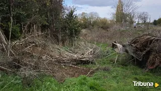 Aldeatejada acomete labores de limpieza en la zona de Las Fuentes y el entorno del regato del Zurguén