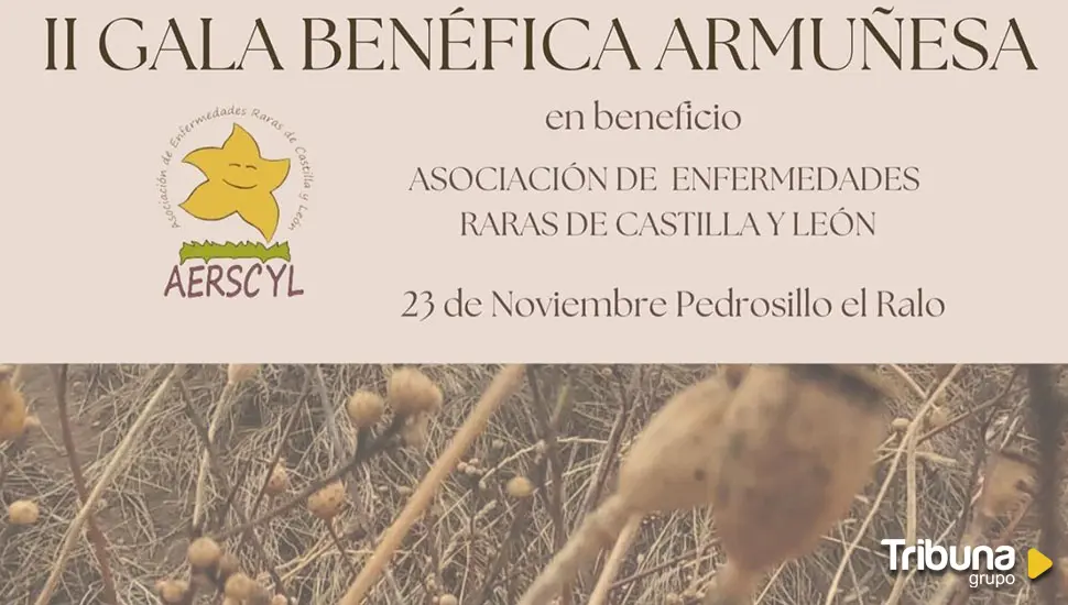 Organizan una gala benéfica y una fiesta solidaria en La Armuña a favor de la asociación Aerscyl