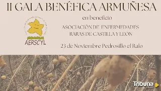 Organizan una gala benéfica y una fiesta solidaria en La Armuña a favor de la asociación Aerscyl