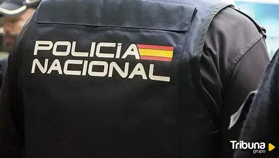 Cuarenta detenidos, uno en Castilla y León, por producción y distribución de pornografía infantil 