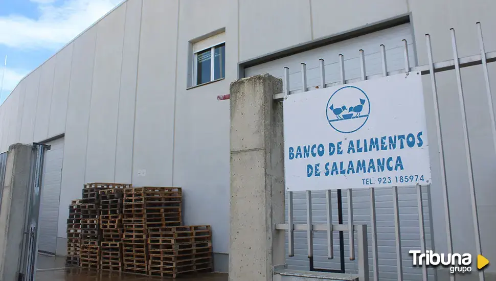 El Banco de Alimentos pide voluntarios para la Gran Recogida de este fin de semana: "todos vienen bien"