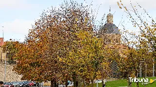 El otoño en Salamanca: el ocre se une a la piedra dorada para crear un espectáculo para los sentidos