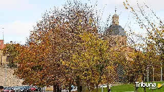 El otoño en Salamanca: el ocre se une a la piedra dorada para crear un espectáculo para los sentidos