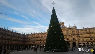 El gran árbol de Navidad ya luce en la Plaza Mayor de Salamanca