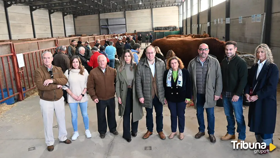 Ciudad Rodrigo no falla a su cita con la Feria de San Andrés 