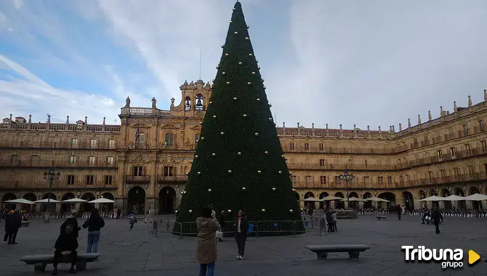 'Cazan' a dos jóvenes subidos al árbol de la Plaza, a los que podrían multar con hasta 3.000 euros