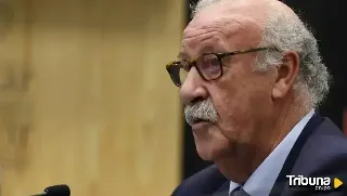 Vicente del Bosque, galardonado por su defensa de las personas con discapacidad 