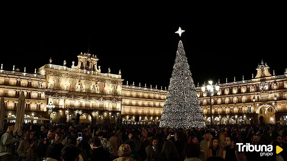 El árbol de la Plaza Mayor obliga a rebajar el aforo máximo permitido del Fin de Año Universitario