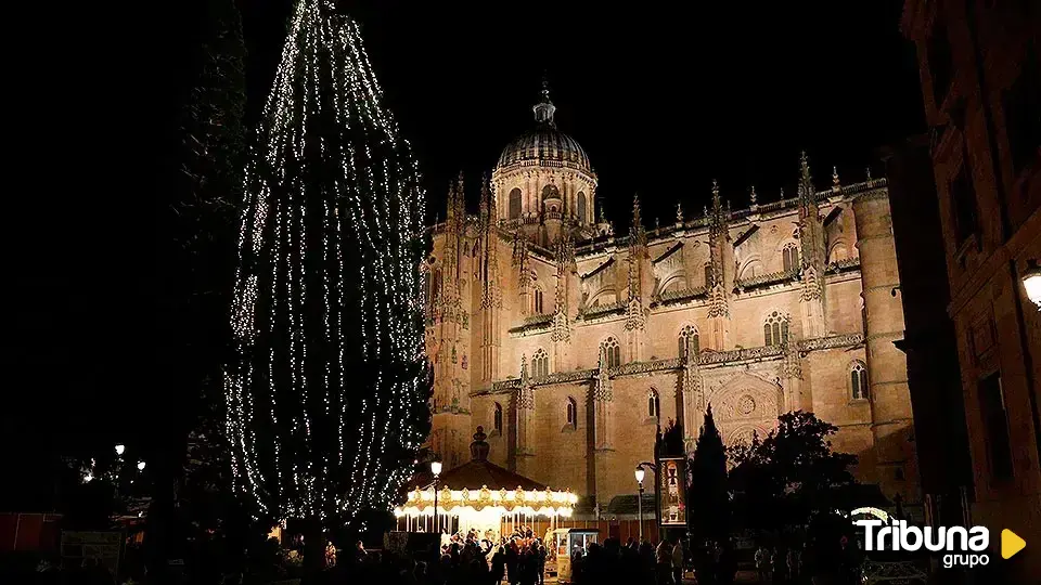 Pagará casi 4.000 euros por romper "de manera intencionada" un adorno navideño ubicado junto a la Catedral 