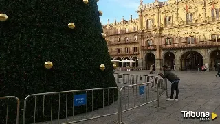 Cuarto 'asalto' al árbol de la Plaza Mayor: sancionadas otras tres personas por acceder al recinto vallado