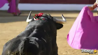 Abierto el plazo de inscripción para las ganaderías que quieran participar en el Circuito de Castilla y León 