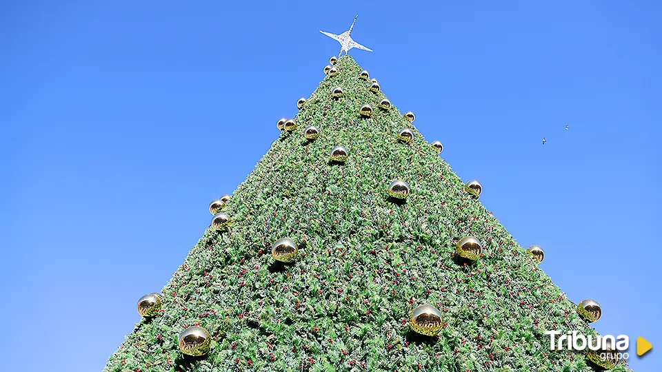 El árbol de Navidad de la Plaza de Salamanca, víctima de otro asalto que saldrá caro 