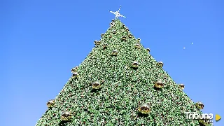 El árbol de Navidad de la Plaza de Salamanca, víctima de otro asalto que saldrá caro 