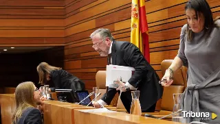 Aprobada la terna del PP para el TSJCYL con polémica en la votación con acusaciones de "cacicada" 