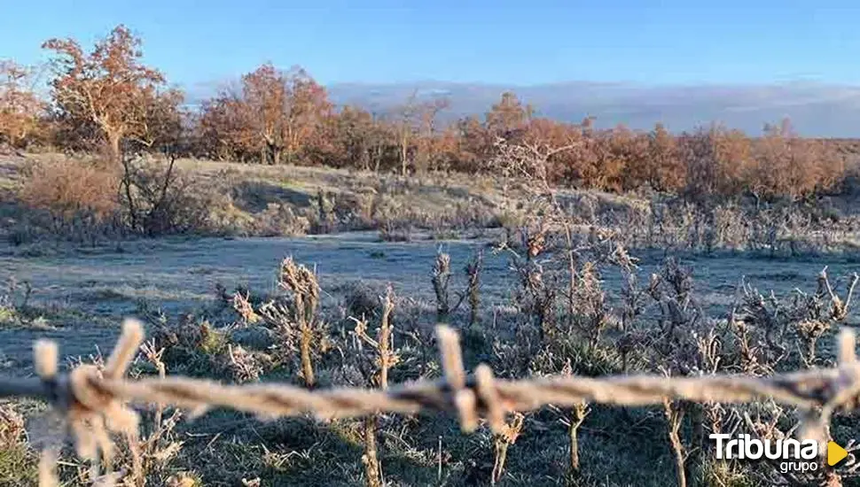 Madrugada invernal en Castilla y León con 5 de las temperaturas más bajas del país