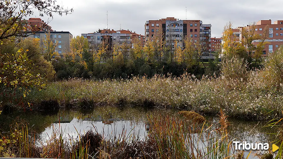 Última semana del año 2024: Así será el tiempo hasta las campanadas