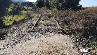 Exigen "abreviar los procesos técnicos" para reabrir la ruta ferroviaria de la Plata 40 años después