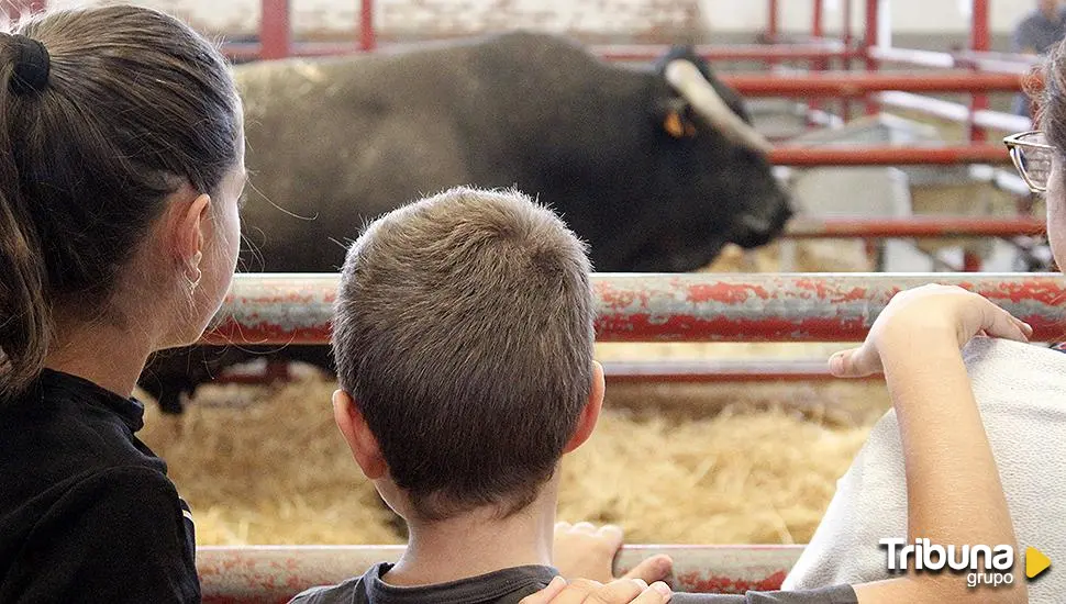 El calendario de ferias comerciales en Castilla y León para 2025, que incluye 387 eventos