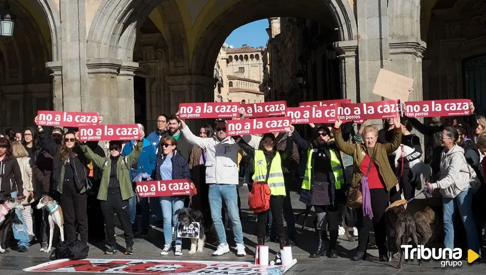 'No a la caza' exige acabar con la actividad cinegética con perros