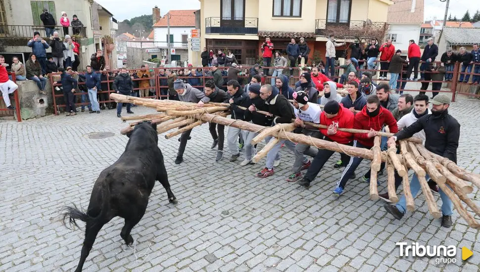 Forcón y bucho, el singular carnaval en la frontera hispanolusa 