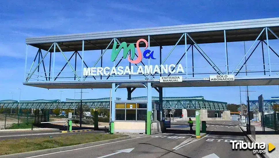 Una nueva empresa anuncia su instalación en Mercasalamanca, donde creará hasta una treintena de empleos