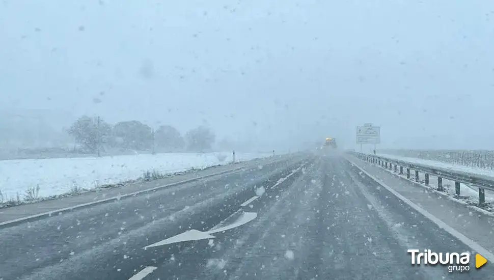 Castilla y León activa la alerta por nevadas en 7 provincias 