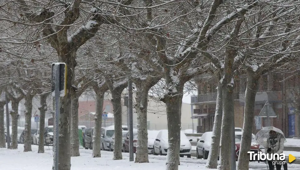 Castilla y León activa la fase de alerta por nevadas en las próximas jornadas 