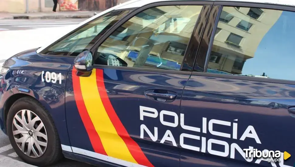 Quince detenidos en varias provincias, dos en Castilla y León, por intercambiar pornografía infantil