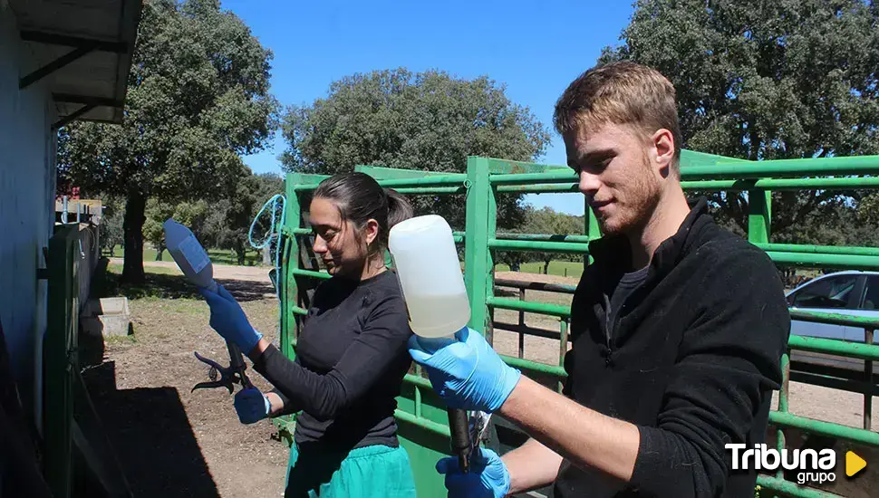 Los veterinarios de campo recalcan su importancia: "Es un sector en el que hay y habrá trabajo"