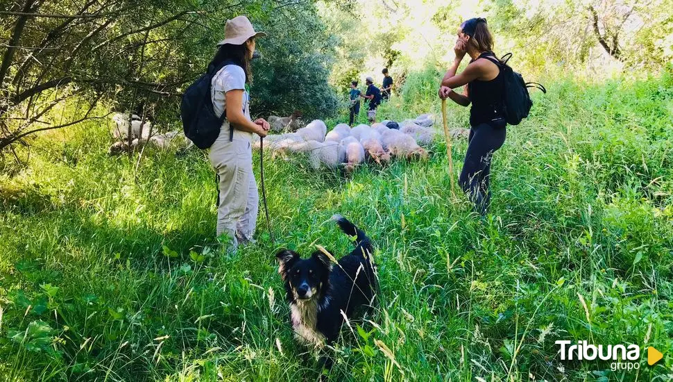 Emprendimiento rural: el proyecto de ganadería caprina en Castilla y León premiado en 'Tierra de Oportunidades'