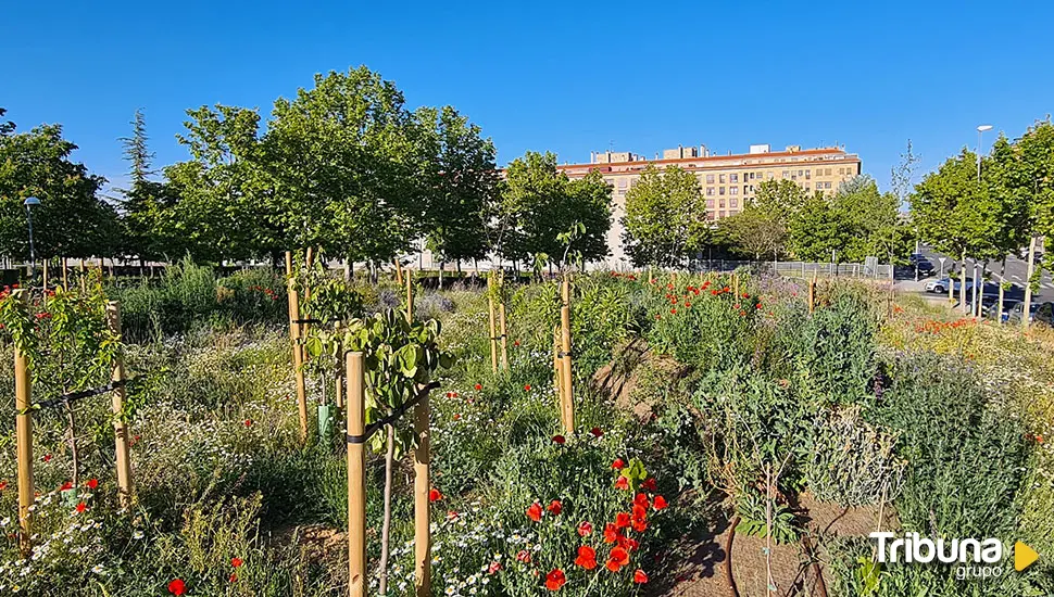 Un nuevo oasis en el entramado urbano de Salamanca