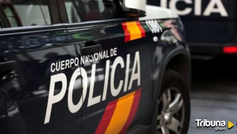 Detenido tras robar y agredir y amenazar al vigilante de seguridad y a un agente de policía