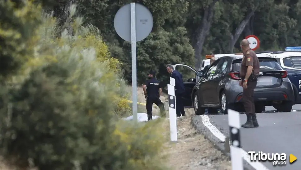 Una detenida tras el asesinato a tiros de Borja Villacís y localizadas armas en un descampado