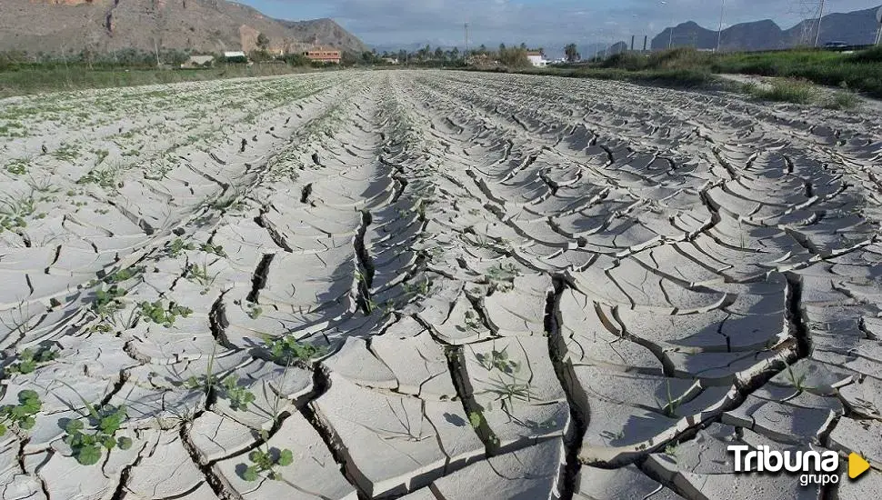 Castilla y León, la comunidad con más negacionistas del cambio climático