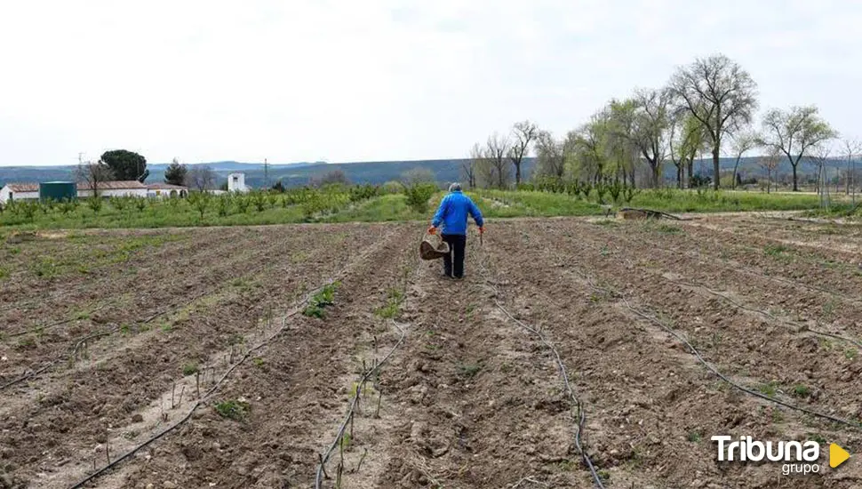 Agricultura supera las 63.000 solicitudes de la PAC en Castilla y León 