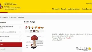 'Reino Fungi': Una fototeca en línea enriquecida para el estudio y elaborada por la USAL