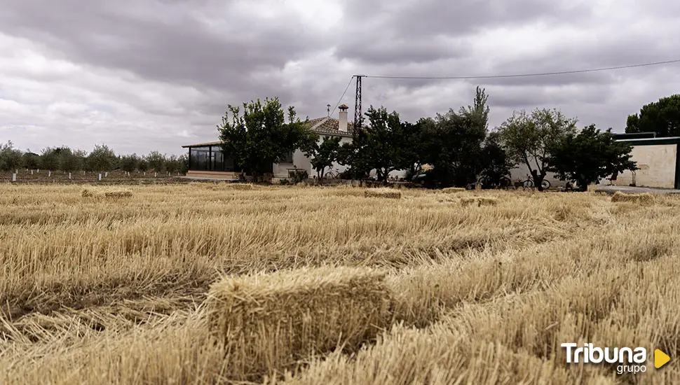 Asesinada una mujer en Antequera y detenida su pareja, un hombre de 62 años