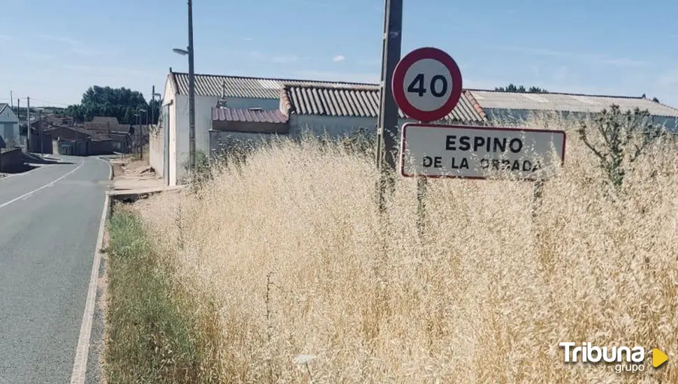 Critican la "dejadez" de la Diputación para desbrozar las cunetas y cruces en La Armuña