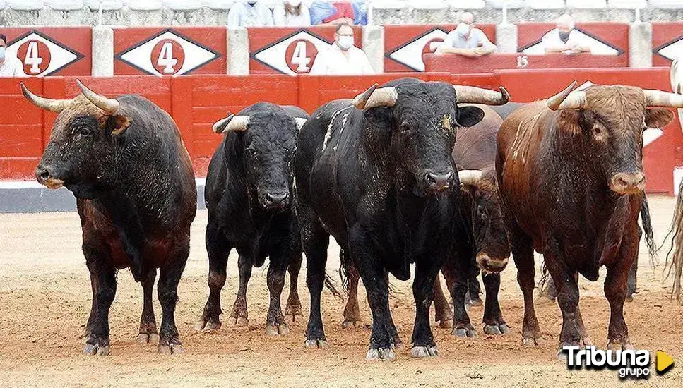 Estos son los carteles de la Feria Taurina de Salamanca 2024